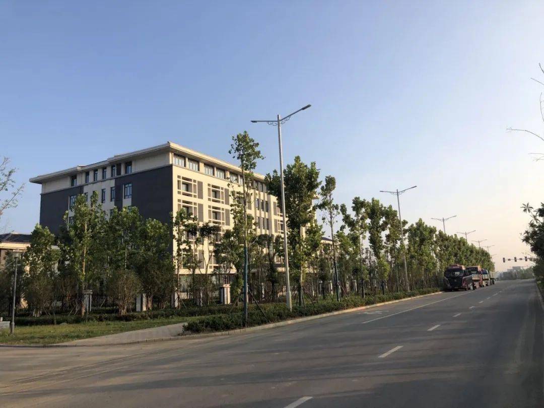 桐城东部新城最新动态，与自然美景的邂逅，内心平和之旅启程