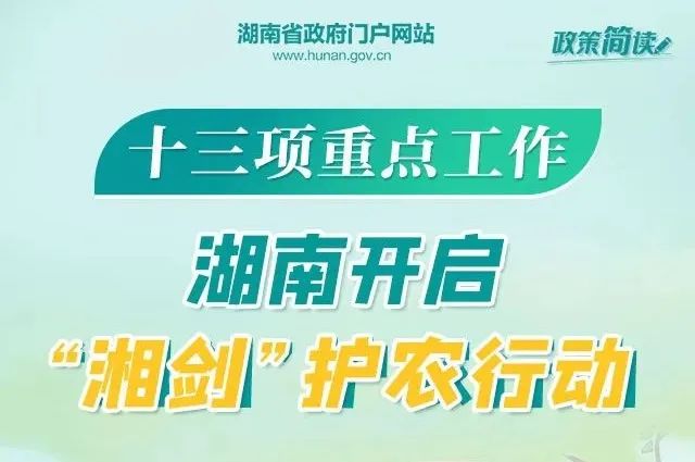 沂源鲁阳公司最新职位招聘探秘，小城的求职奇遇之旅