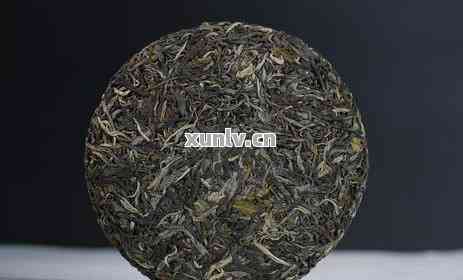 云南普洱最新动态，茶韵人生与励志之旅