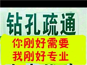 修水在线快讯，探索新动态，展现地方风采