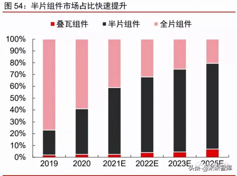 麻山药情缘与未来行情展望，温馨家园的奇妙之旅到2025年