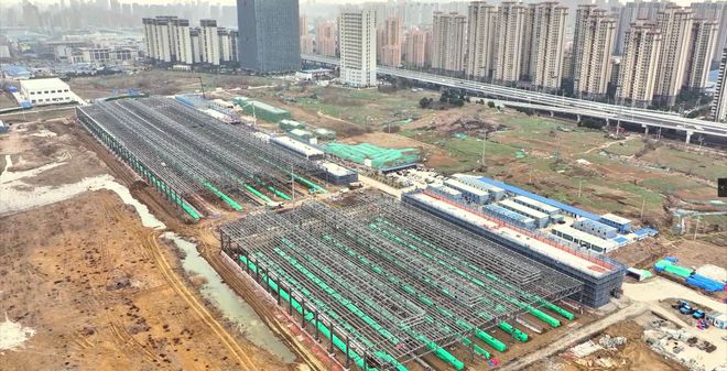 新站区最新动态更新
