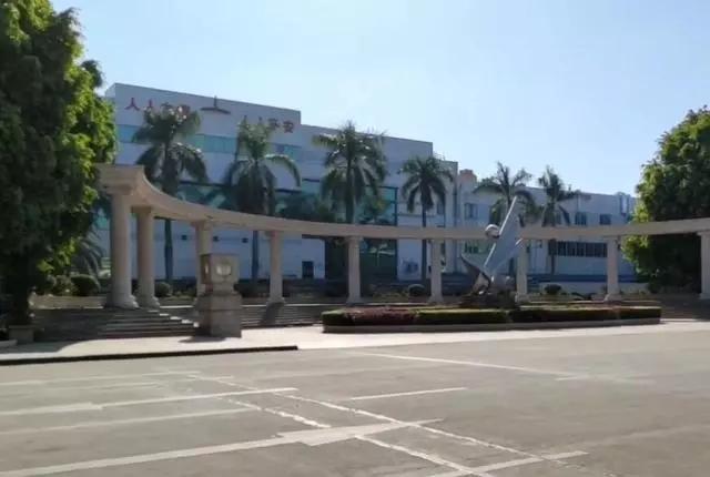 东莞临时工招聘现象，最新动态与观点探讨