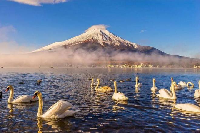 富士山最新动态，温馨旅程的见证者