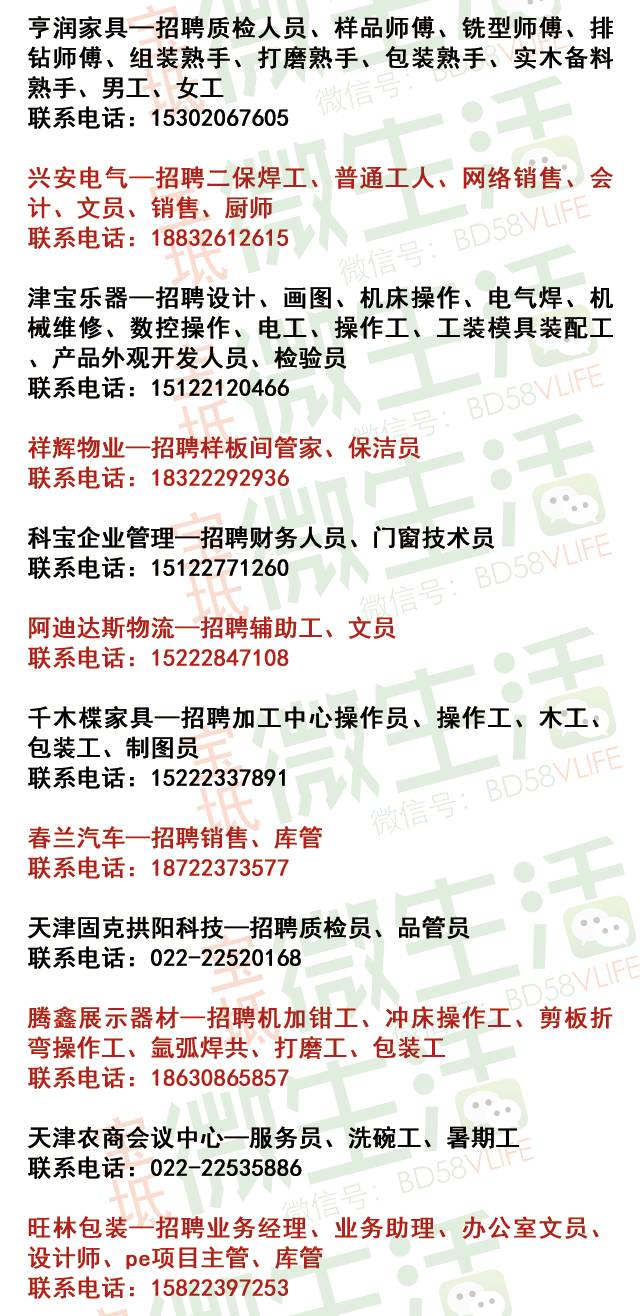 宝坻最新招聘信息探索，小巷特色小店奥秘与招聘惊喜