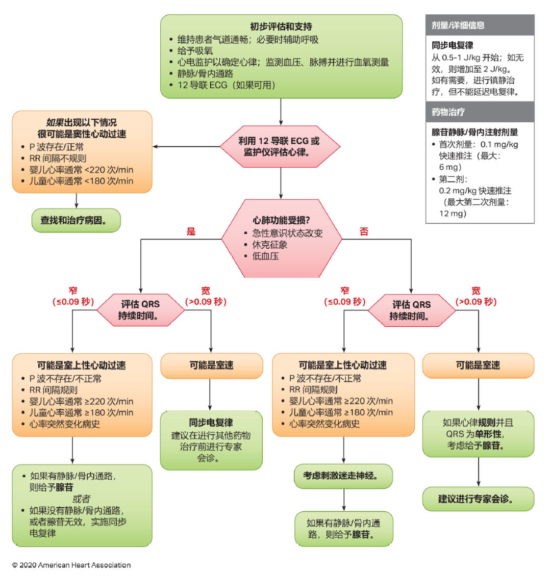 最新心衰指南，小明的暖心之旅探索之路