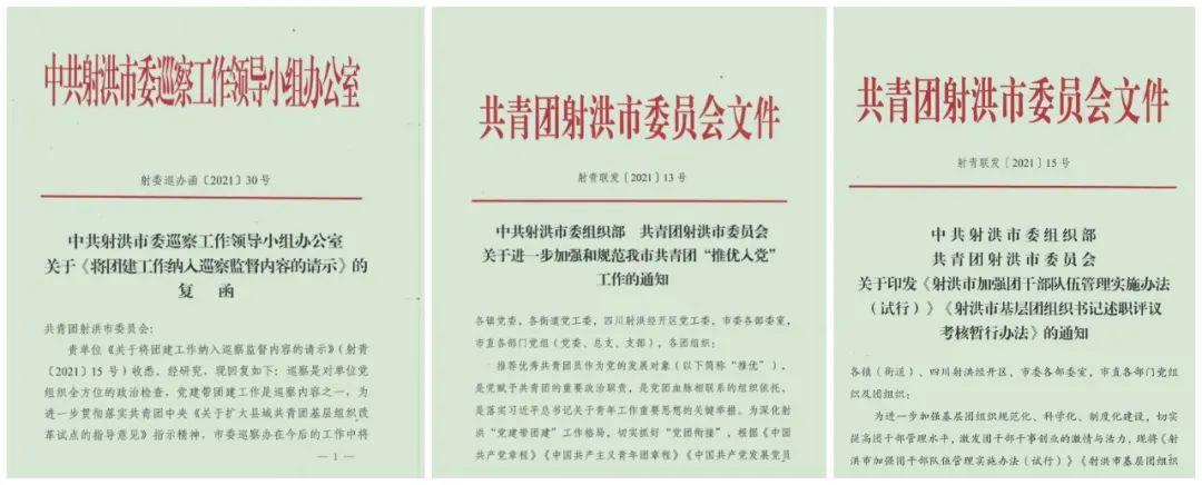 射洪最新招聘信息大全，获取指南与职位更新速递