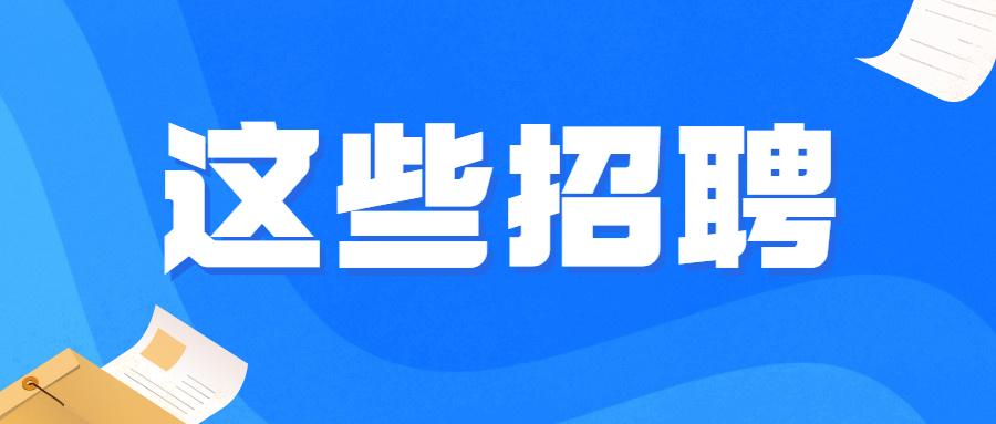 清镇招聘网最新招聘信息详解，岗位解析与观点阐述