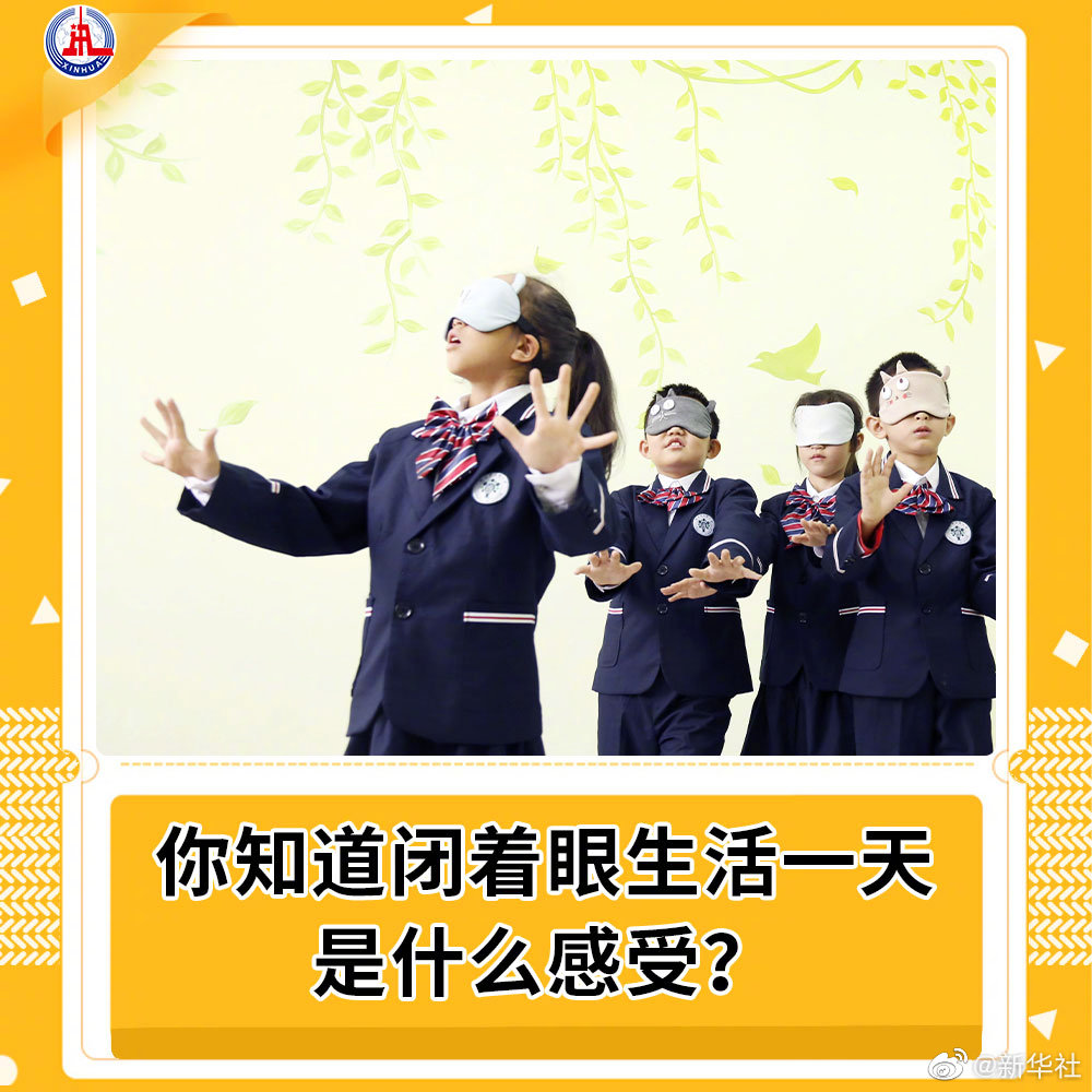 家的温馨日常与友情的纽带，最新博客分享