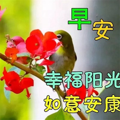 早上好首长大人最新动态，学习变化，自信塑造未来