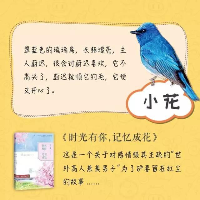 东奔西顾最新小说，学习之旅的星光之路揭秘