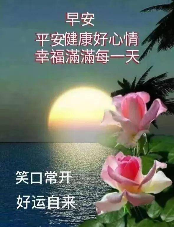 最新早上好微信图片，开启一天的温馨问候之旅